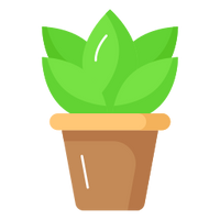 Easy Plant Care