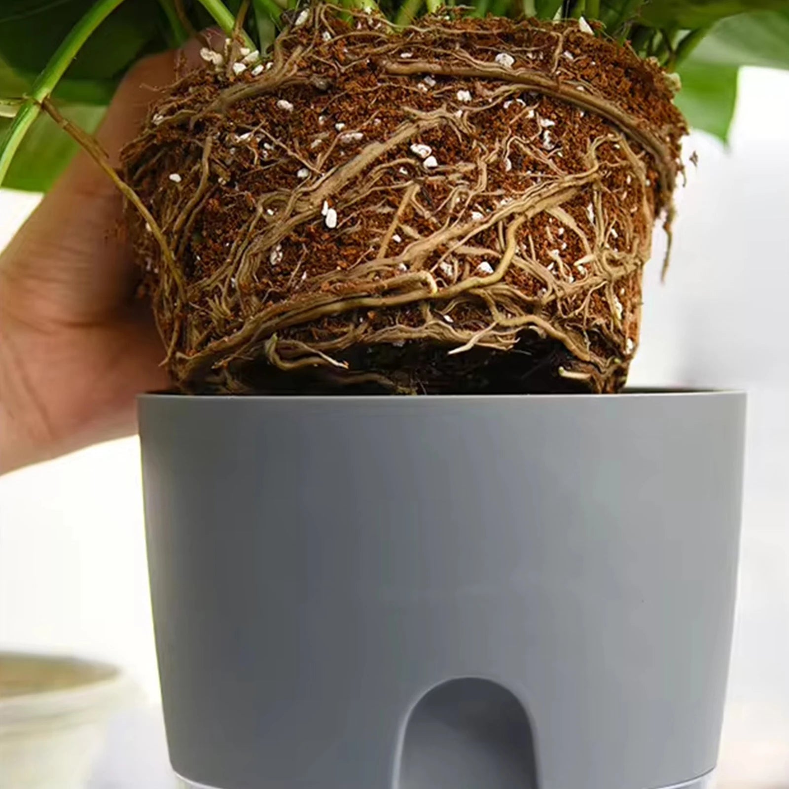 Self-Watering Hydroponic Flower Pot for Soilless Plant Growing