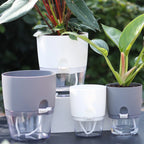 Self-Watering Hydroponic Flower Pot for Soilless Plant Growing