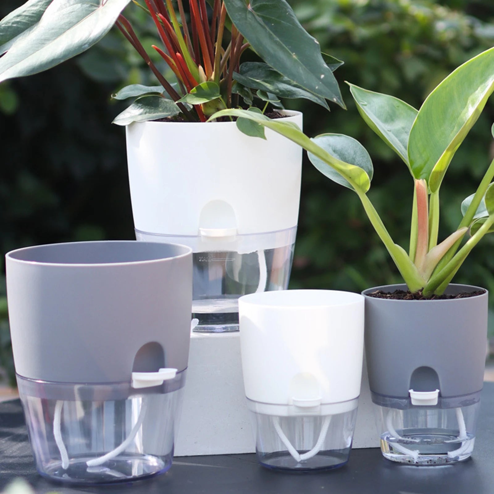 Self-Watering Hydroponic Flower Pot for Soilless Plant Growing
