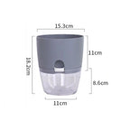 Self-Watering Hydroponic Flower Pot for Soilless Plant Growing