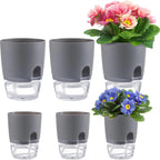 Self-Watering Hydroponic Flower Pot for Soilless Plant Growing
