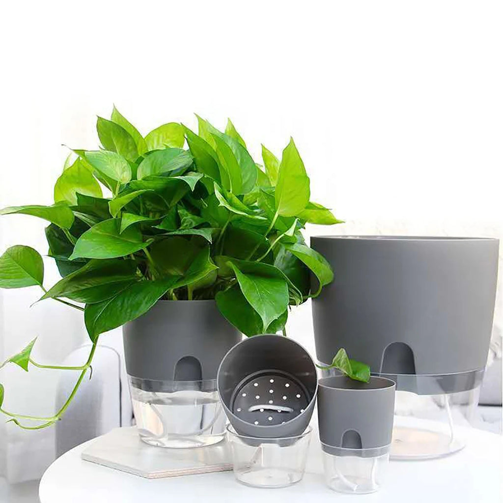 Self-Watering Hydroponic Flower Pot for Soilless Plant Growing