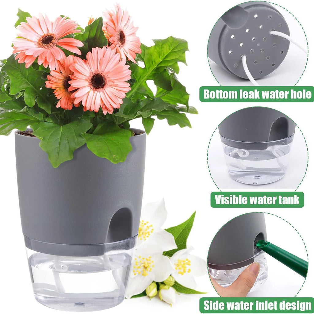 Self-Watering Hydroponic Flower Pot for Soilless Plant Growing
