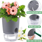 Self-Watering Hydroponic Flower Pot for Soilless Plant Growing