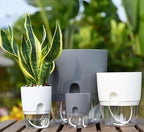 Self-Watering Hydroponic Flower Pot for Soilless Plant Growing
