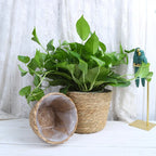 Woven Straw Plant Pot Cover Basket for Indoor &amp; Outdoor Plants