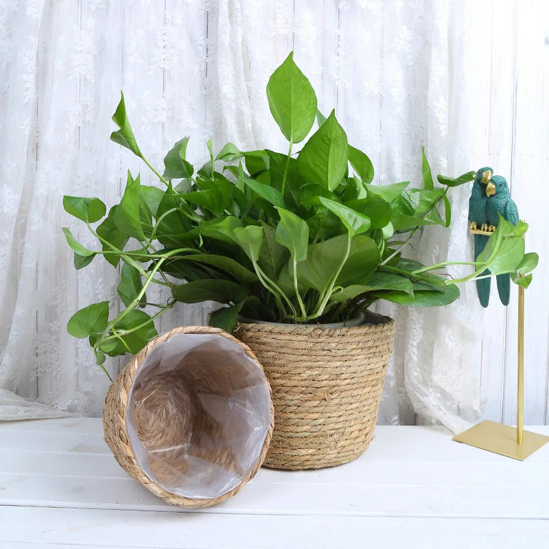 Woven Straw Plant Pot Cover Basket for Indoor &amp; Outdoor Plants