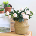 Handwoven Straw Plant Pot Basket for Indoor &amp; Outdoor Decor