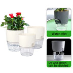 Self-Watering Hydroponic Flower Pot for Soilless Plant Growing
