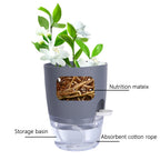 Self-Watering Hydroponic Flower Pot for Soilless Plant Growing