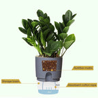 Self-Watering Hydroponic Flower Pot for Soilless Plant Growing