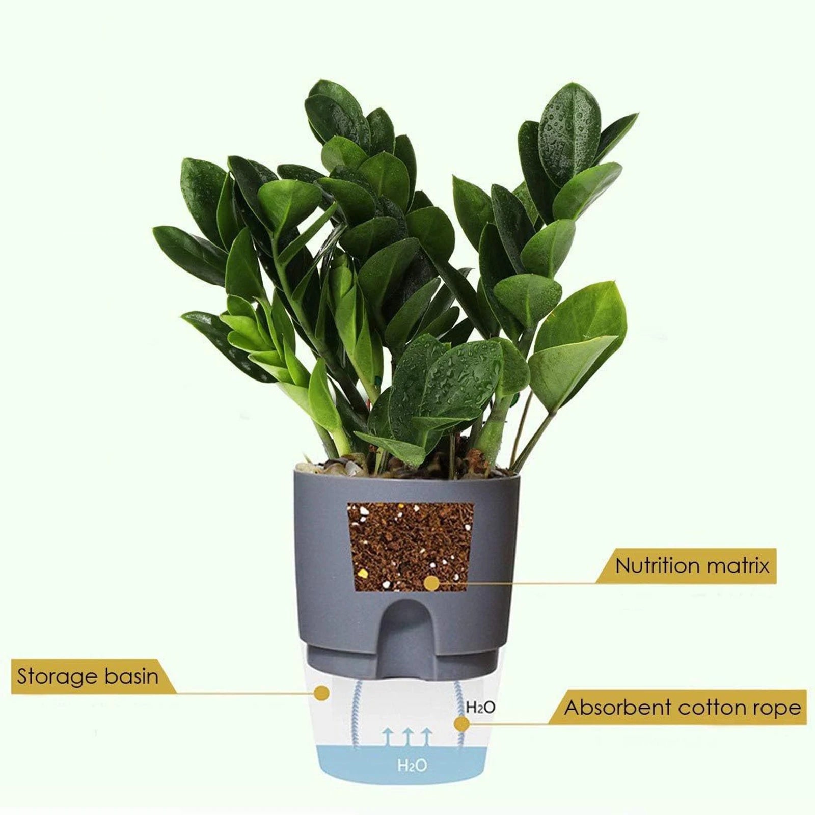 Self-Watering Hydroponic Flower Pot for Soilless Plant Growing