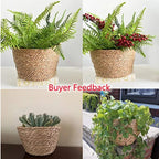 Woven Straw Plant Pot Cover Basket for Indoor &amp; Outdoor Plants