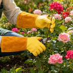 Thorn-Proof Garden Gloves with Long Protective Gauntlets